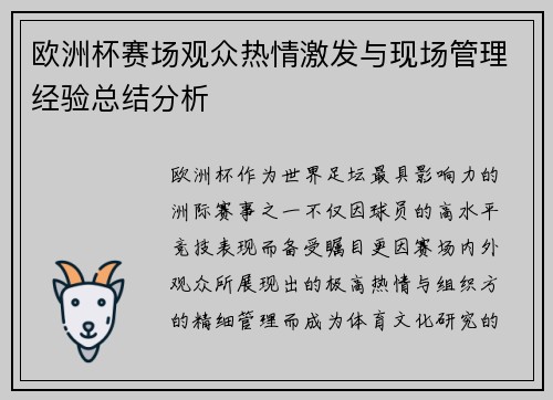 欧洲杯赛场观众热情激发与现场管理经验总结分析